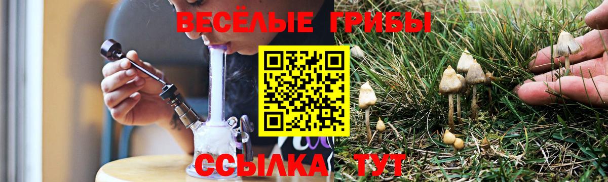 Кузнецк  Галлюциногенные грибы Psilocybe  Вход с VPN  Галлюциногенные грибы мицелий 